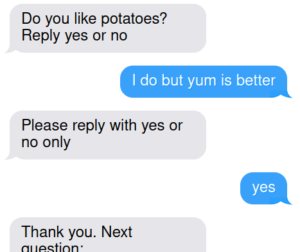 Q: Do you like potatoes? Reply yes or no A: I do but yum is better Q: Please reply with yes or no only A: yes Q: Thank you. Next question